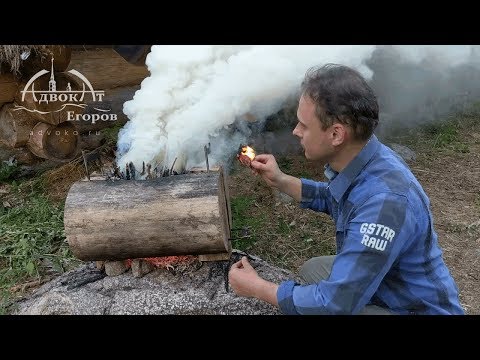 Video: Egipatski Navpični Gozd