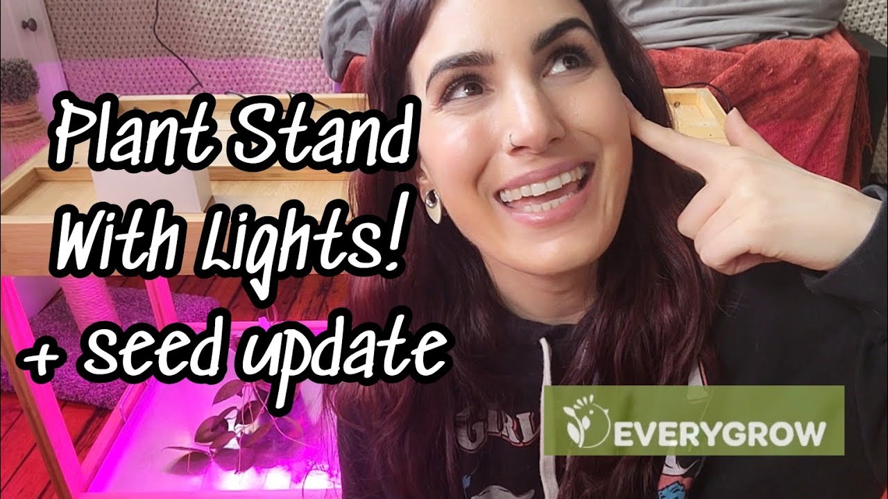 how to grow veggies indoors with the EVERYGROW bamboo plant stand