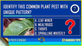 TAKE THIS QUIZ ON COMMON GARDEN PESTS