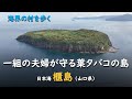 一組の夫婦が守る葉タバコの島／海界 日本海 櫃島（山口県）