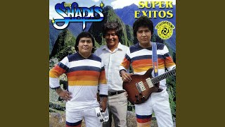 Video thumbnail of "Los Shapis - Mi Tallercito"