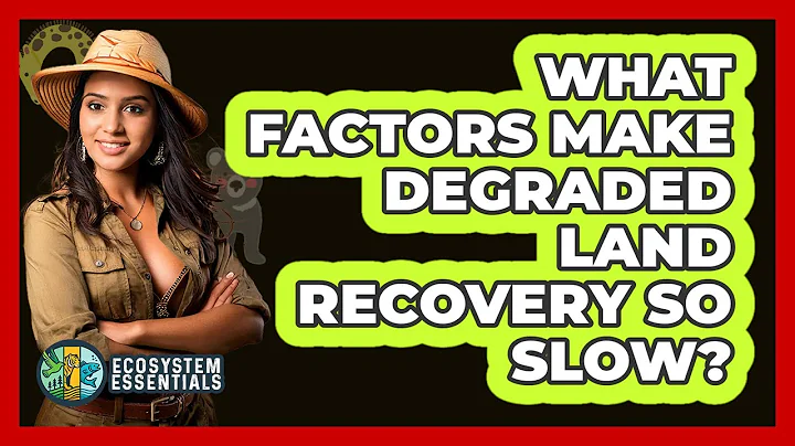 What Factors Make Degraded Land Recovery So Slow? - Ecosystem Essentials