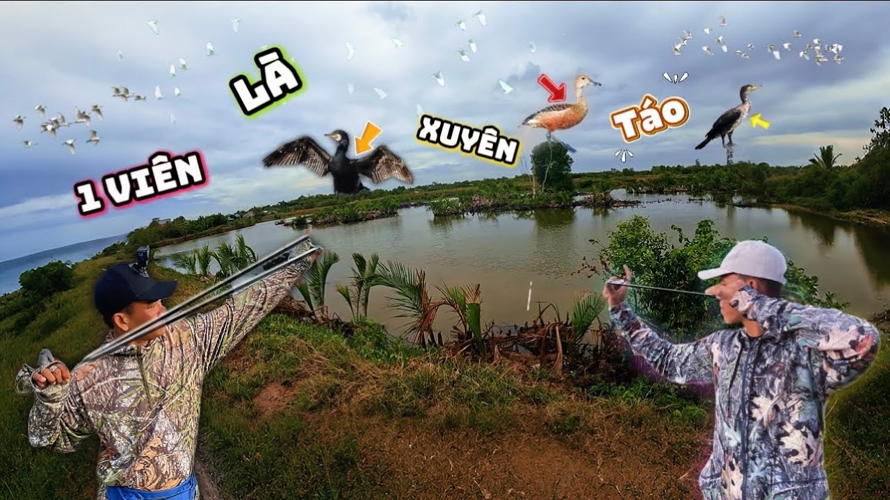 Dằm Mưa Đi Săn Vịt Xiêm Đen Và Cái Kết… Chạy Qua Nhà Tiến Đạt Slingshot Chóng Móm || Trung Ku Nhí