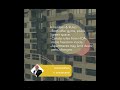 5 Surprising Facts About Condos vs Apartments!