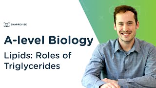 Lipids: Roles of Triglycerides | A-level Biology | OCR, AQA, Edexcel