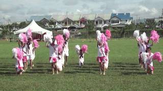 2012 SMC Pink PomPom