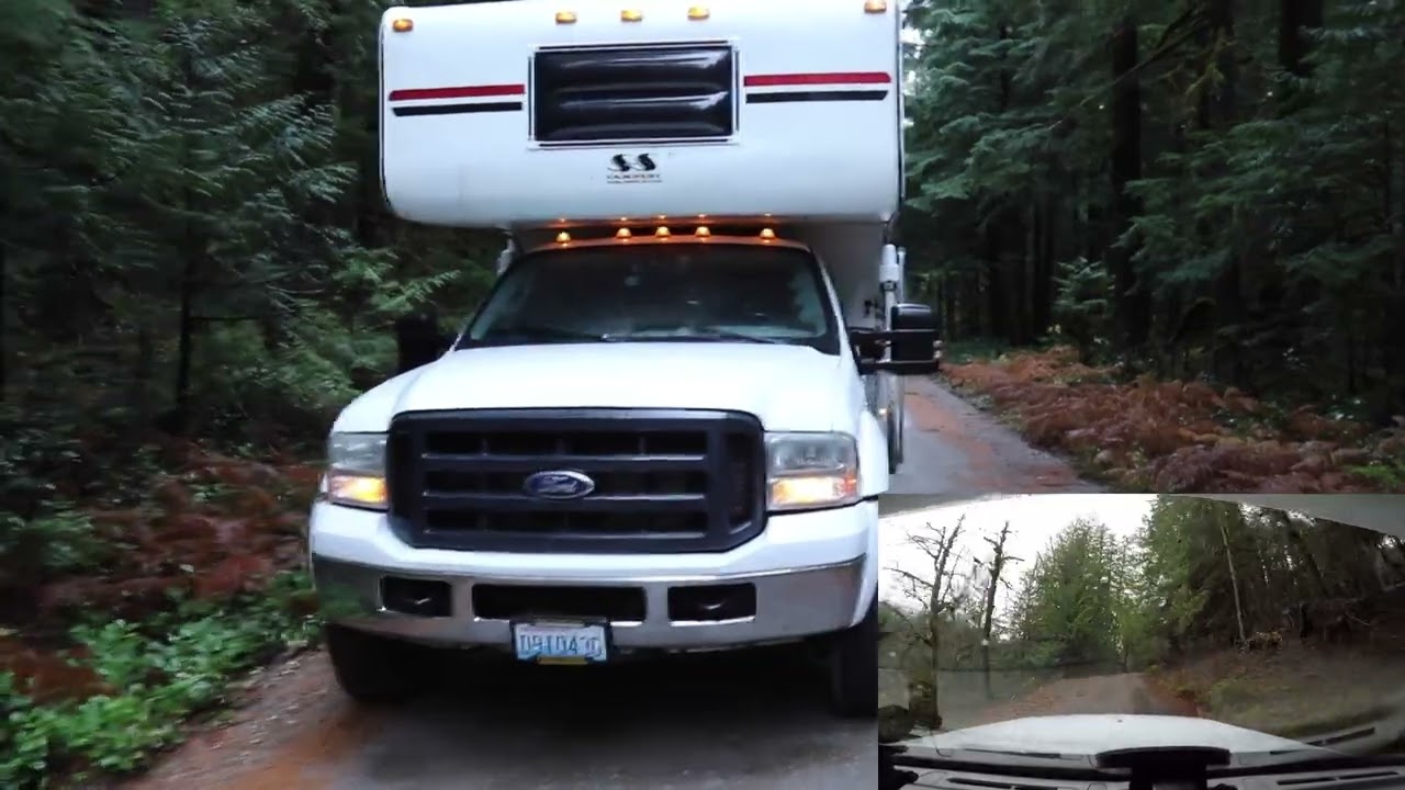 День 2. Выбираемся из леса с моей кошкой.