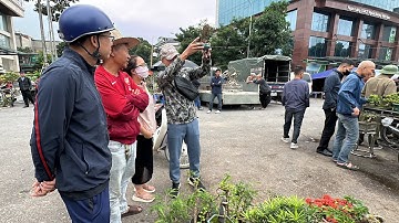 TÍ THÌ RƠI - CHỐT CÂY DU 300K QUÁ RẺ - CHỢ VẠN PHÚC SÔI ĐỘNG QUÁ