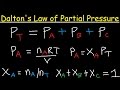 Mastering Dalton's Law and Partial Pressures in Gaseous Mixtures