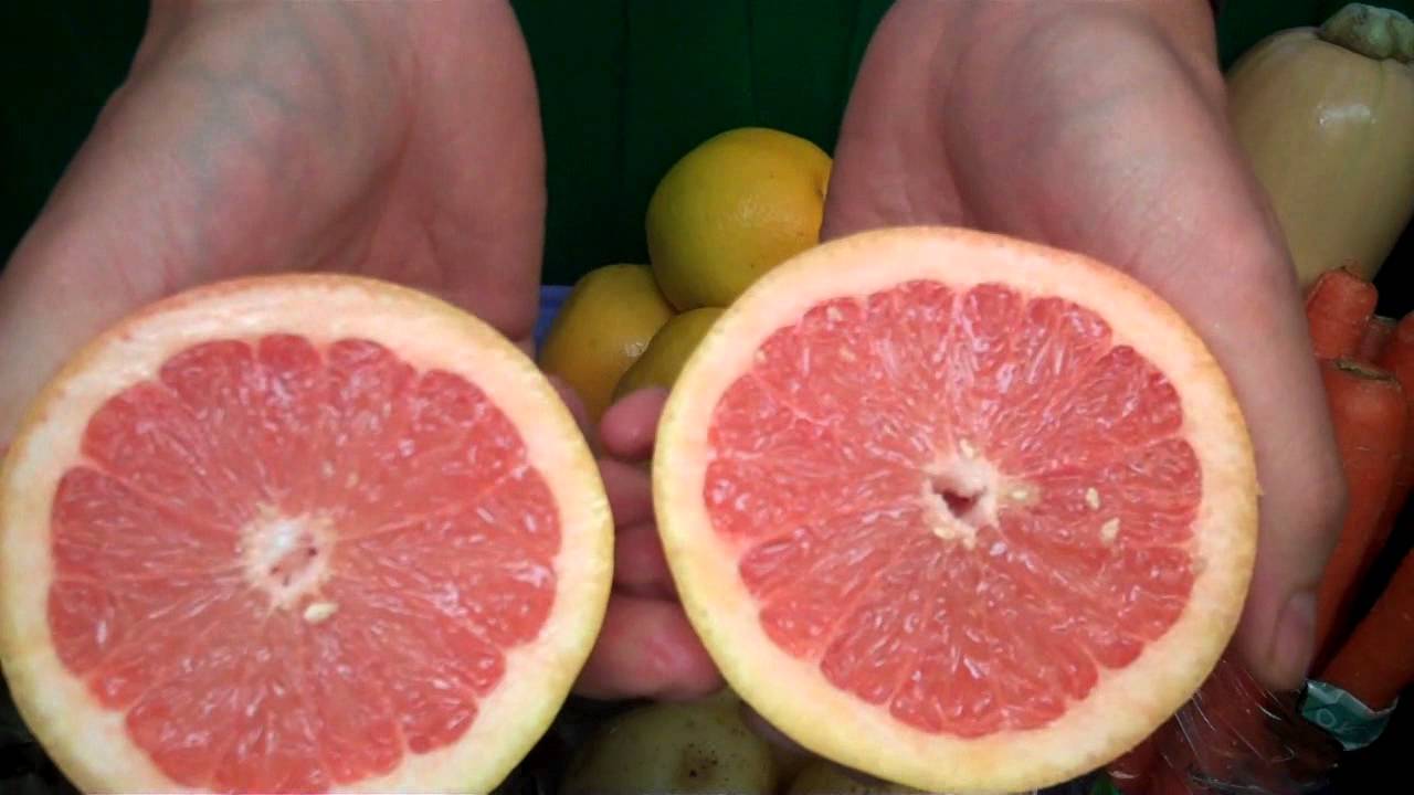 Los Angeles' Local Organic Produce BoxNovember 1st 8th YouTube