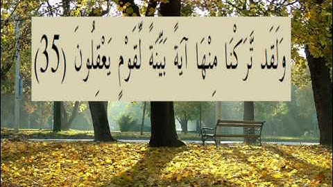 القران الكريم سورة العنكبوت الأية 35.wmv