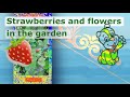 Strawberries and flowers in the garden in June, 2020