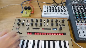 MFB Tanzmaus, Korg Monologue & MXR Distortion+ CSP104