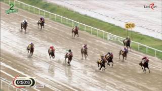 20160930 렛츠런파크 부산경남 2경주 1000m