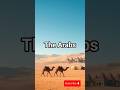 Ancient Arab Ancient Arab