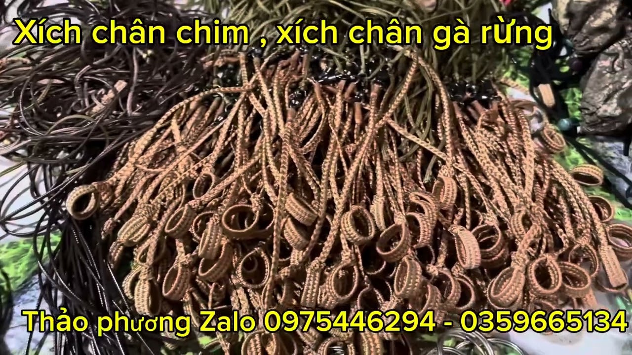 Xích chân gà rừng , xích chân chim cảnh giá rẻ - chất lượng cao