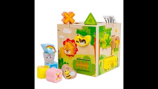 wooden animal shape sorter