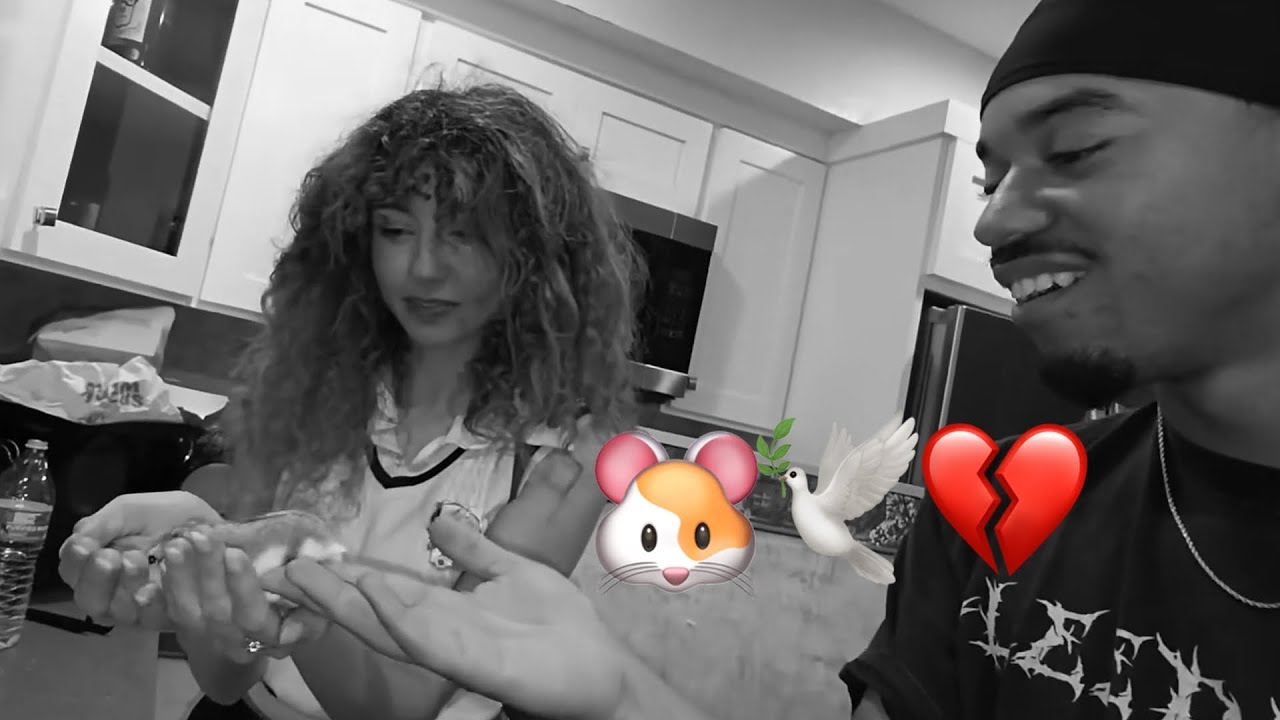 Saying Goodbye To My Hamster Torta (emotional)