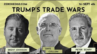 Debate: Trump's Trade Wars | Peter Schiff v Brent Johnson w/ Dave Collum