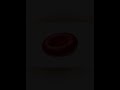 RBC (Erythrocytes) | Structure & Function | Class 11 NCERT | Part 3