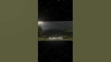 سورة الأحزاب|66|القارئ:#محمد_اللحيدان #قران #quran #راحة_نفسية #قران_كريم #تلاوة_هادئة #تلاوة_خاشعة