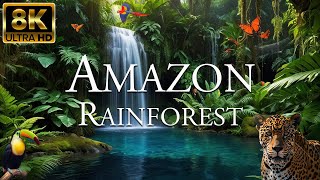 Amazon Rainforest 8K ULTRA HD | Wild Animals of Amazon Jungle | Nature Forest
