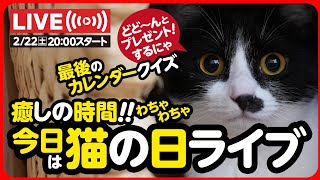 🔴【2月22日(土) 20時スタート】今日は猫の日！みんな集まれ～🎶カレンダーラストチャンス🎁