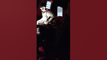 First Specter DIY x Bull Bitcoin Transaction ever | in a Bar before the Lugano Plan B Forum.