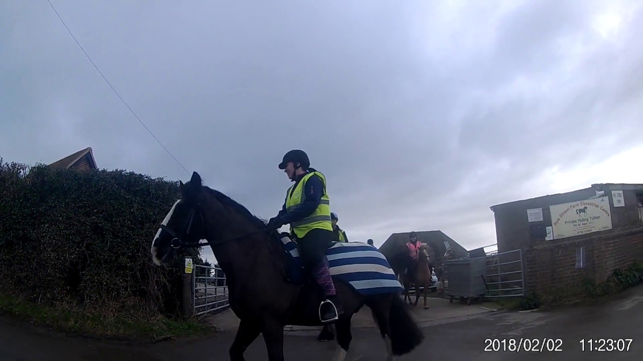 Rye Street Farm Equestrian Centre