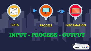 management information system