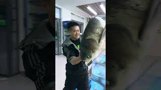 Qiandao Lake Organic Bighead Carp   Fish Dery To Your Door 