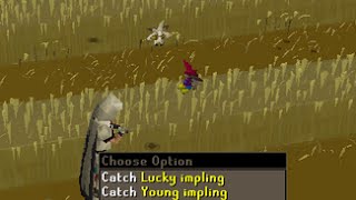 Looting a Lucky Impling
