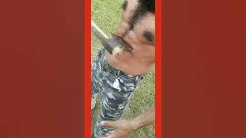 Martial Arts needs Strong Body #strength #strongman #shorts