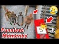 Funniest moments full gameplay  the twins