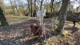 Le canibike du 10/02/22