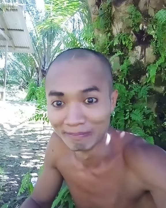 Acis lombok