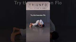 Inversion Flow