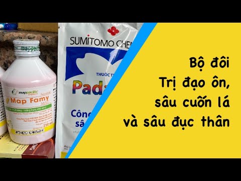 Map Famy + Padan Nhật. Bộ sản phẩm trị đạo ôn và sâu hại hiệu quả mới 2023