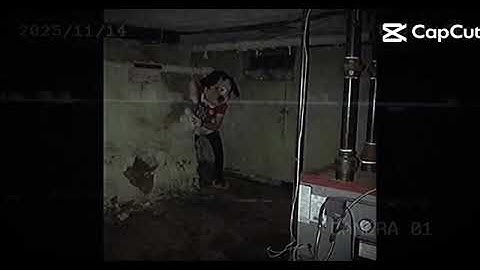 Ĥøřřøř vįđëø