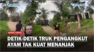 Detik Detik Truk Pengangkut Ayam Oleng Karena Tak Kuat Menanjak