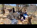 Nomadic life: baking traditional bread, picking mountain almonds, and collecting firewood