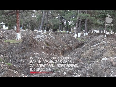 გადათხრილი ახალბაღი - ექსპერტებმა პარკის ტერიტორია დატოვეს