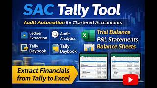 Extract Financials from Tally to Excel in Seconds | Audit Automation for Chartered Accountants |