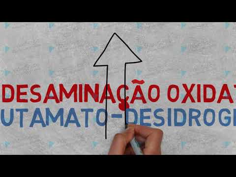 Vídeo: Por produto de desaminação?