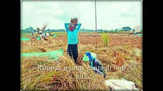 Kumpulan Lagu Komering Junior Sambera (Nanggap Sakai)