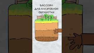 Куда исчезают какашки💩🤔?
