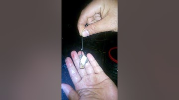 CÁCH MÓC MỒI CÂU CÁ THÁT LÁT ĐÊM BẰNG CÁ RÔ PHI CON #CAUTHATLAT