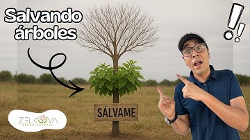 ¡Rescatamos estos Árboles Olvidados! ...EP. 1 - FICUS