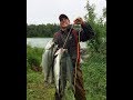 Salmon Fishing Alaska's Kenai River