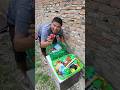 Sikola Shorts Trending Funny Subscribe 